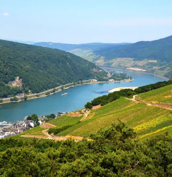 Shutterstock Rudesheim