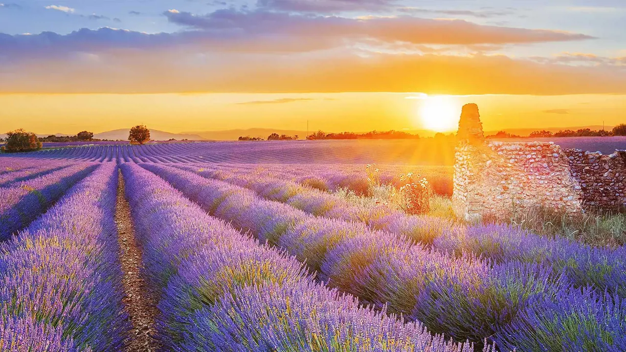 Provence