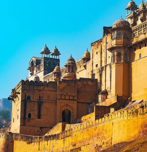 Amber Fort In Jaipur India
