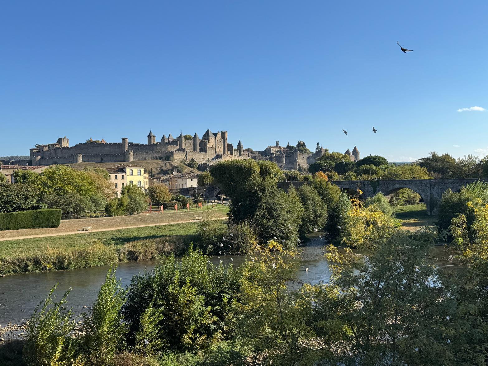 Ellen Carcassonne View From New Bridge