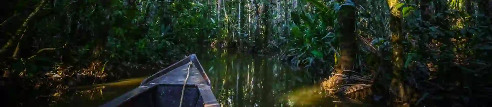 Boat on Lake Sandoval, Peru