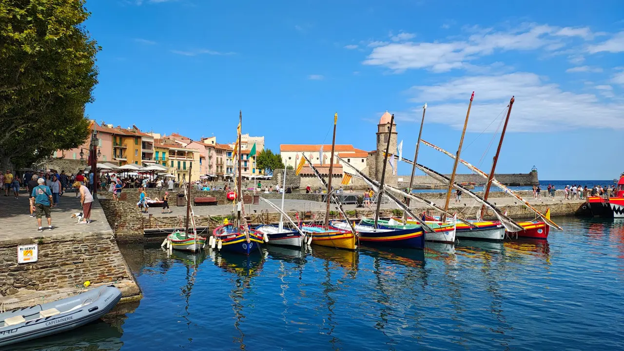 Collioure Port
