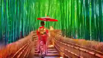 A geisha holding a parasol walks up stone steps through the Arashiyama Bamboo Forest in Kyoto, Japan, surrounded by tall, green bamboo stalks