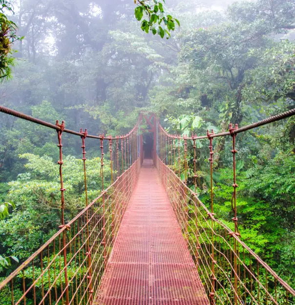 Arenal Sky Walk  Costa Rica 