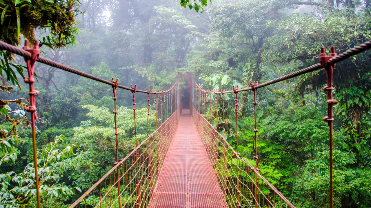 Arenal Sky Walk  Costa Rica 