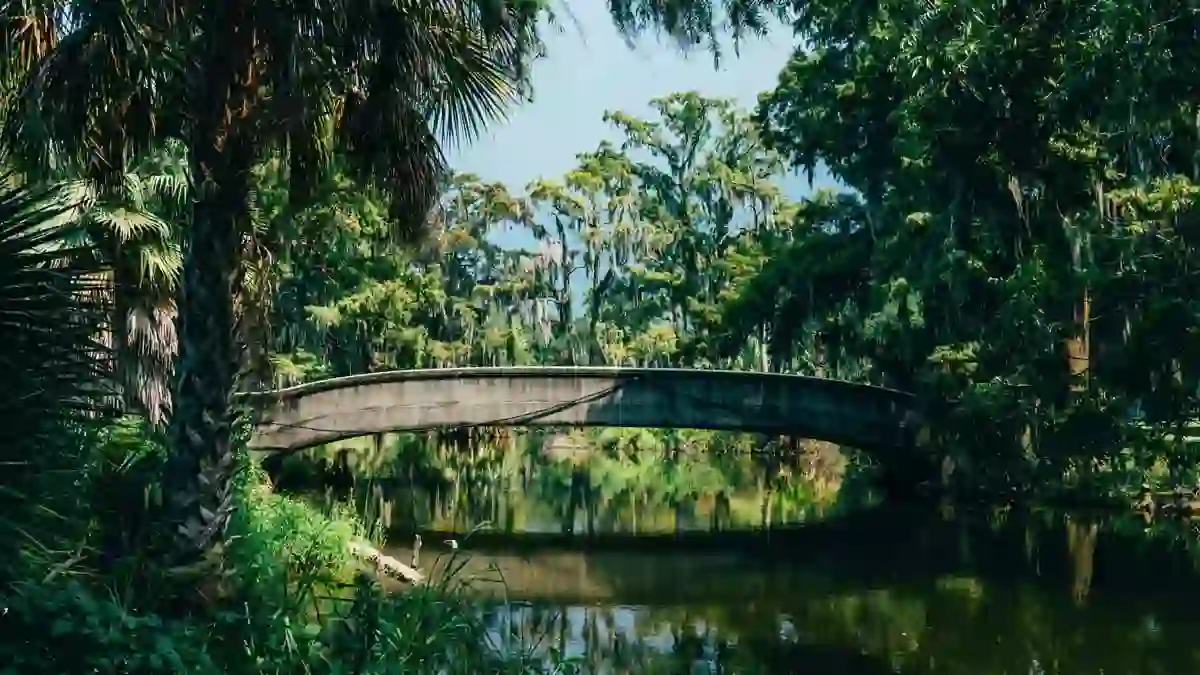 New Orleans City Park