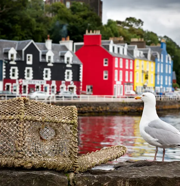 Shutterstock 318153089 Tobermory