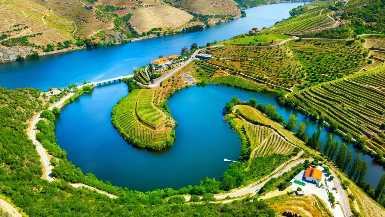 Vineyards, Douro Valley