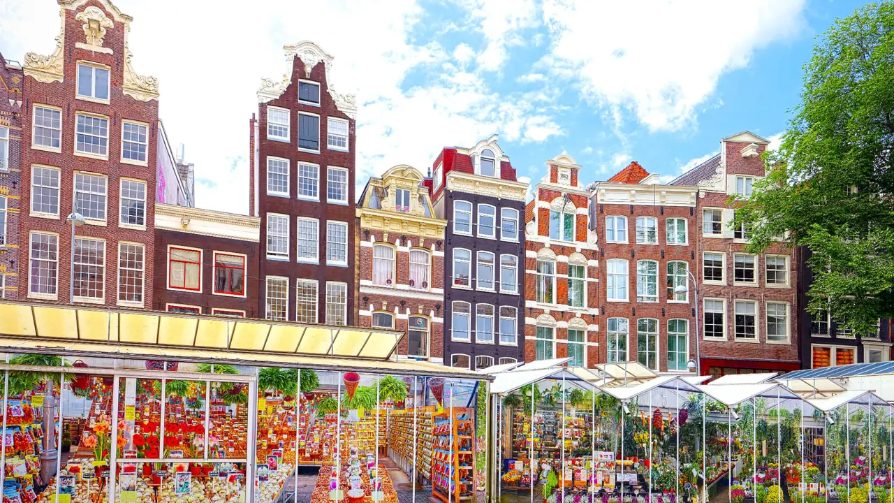 Amsterdam Flower Market