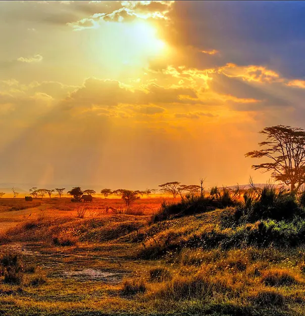 Kruger National Park, sunset