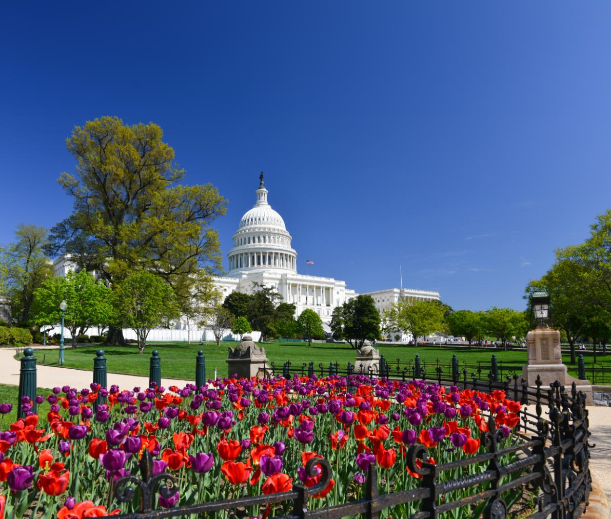 Sh 585389027 Washington DC, US Capitol Building EXT