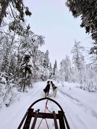 Lapland day trip