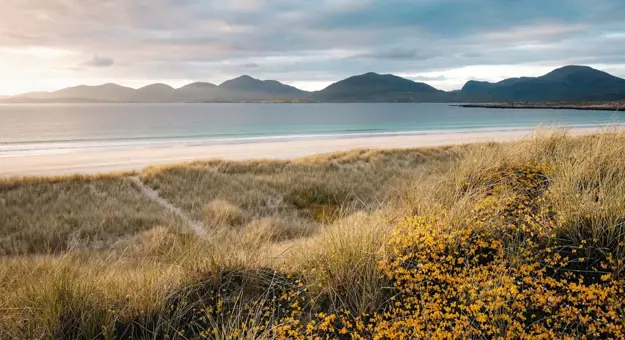 Luskentyre Beach At Sunset, with grass in the forefront and mountains in the distance