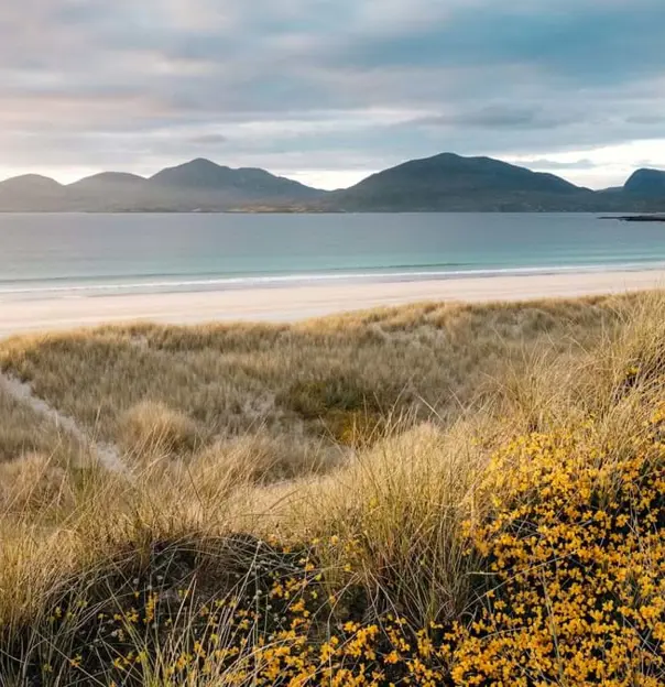 Luskentyre Beach At Sunset, with grass in the forefront and mountains in the distance