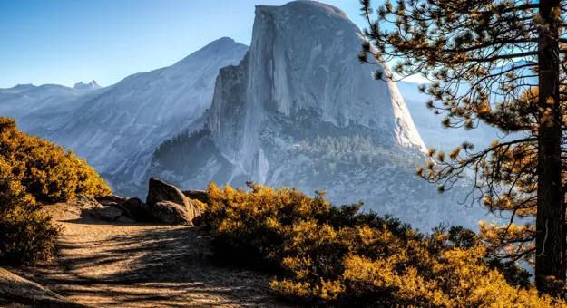 Half Dome, Yosemite National Park, California, with warm yellow shrubs in the foreground, a mountain in the distance, and clear blue skies overhead