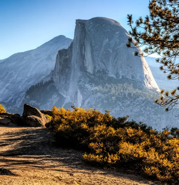 Half Dome, Yosemite National Park, California, with warm yellow shrubs in the foreground, a mountain in the distance, and clear blue skies overhead