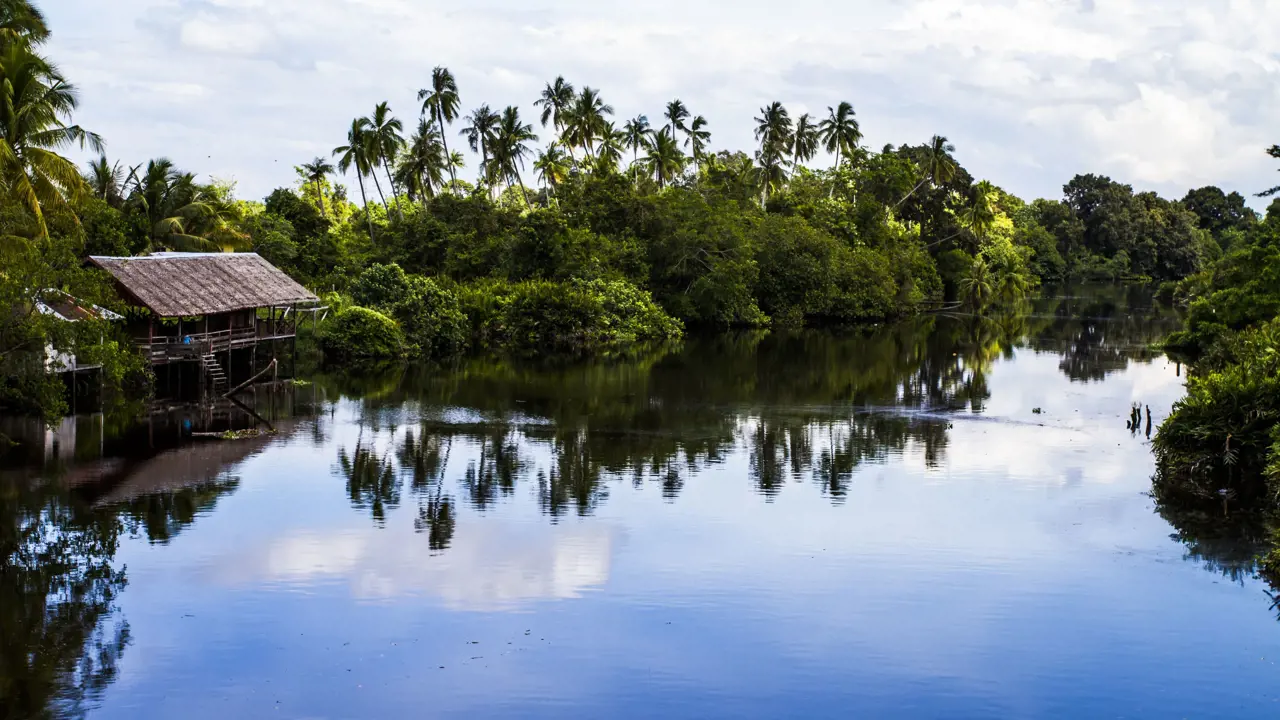 River Cruise, Borneo