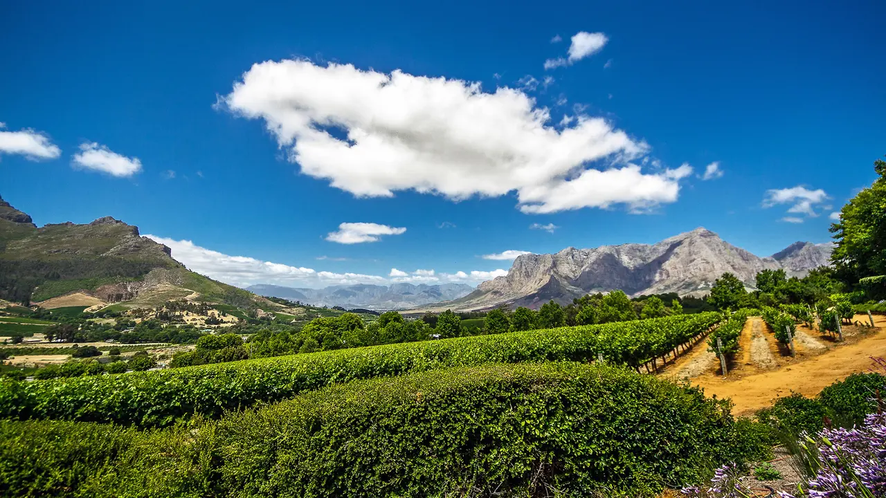 Franschhoek, Cape Town