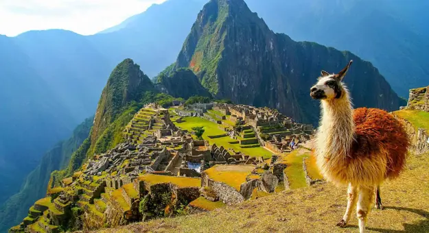 A llama standing among the ancient stone ruins of Machu Picchu, Peru, with the misty Andes mountains in the background