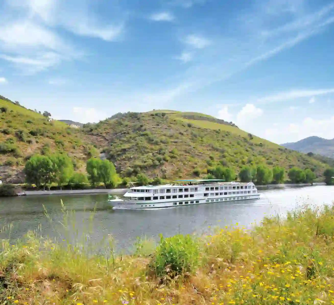 MS Infante Don Henrique