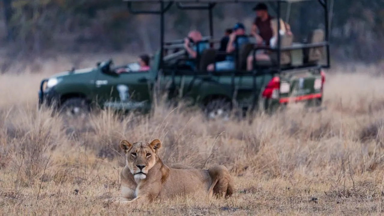 Game Drive, Hwange National Park, Zimbabwe