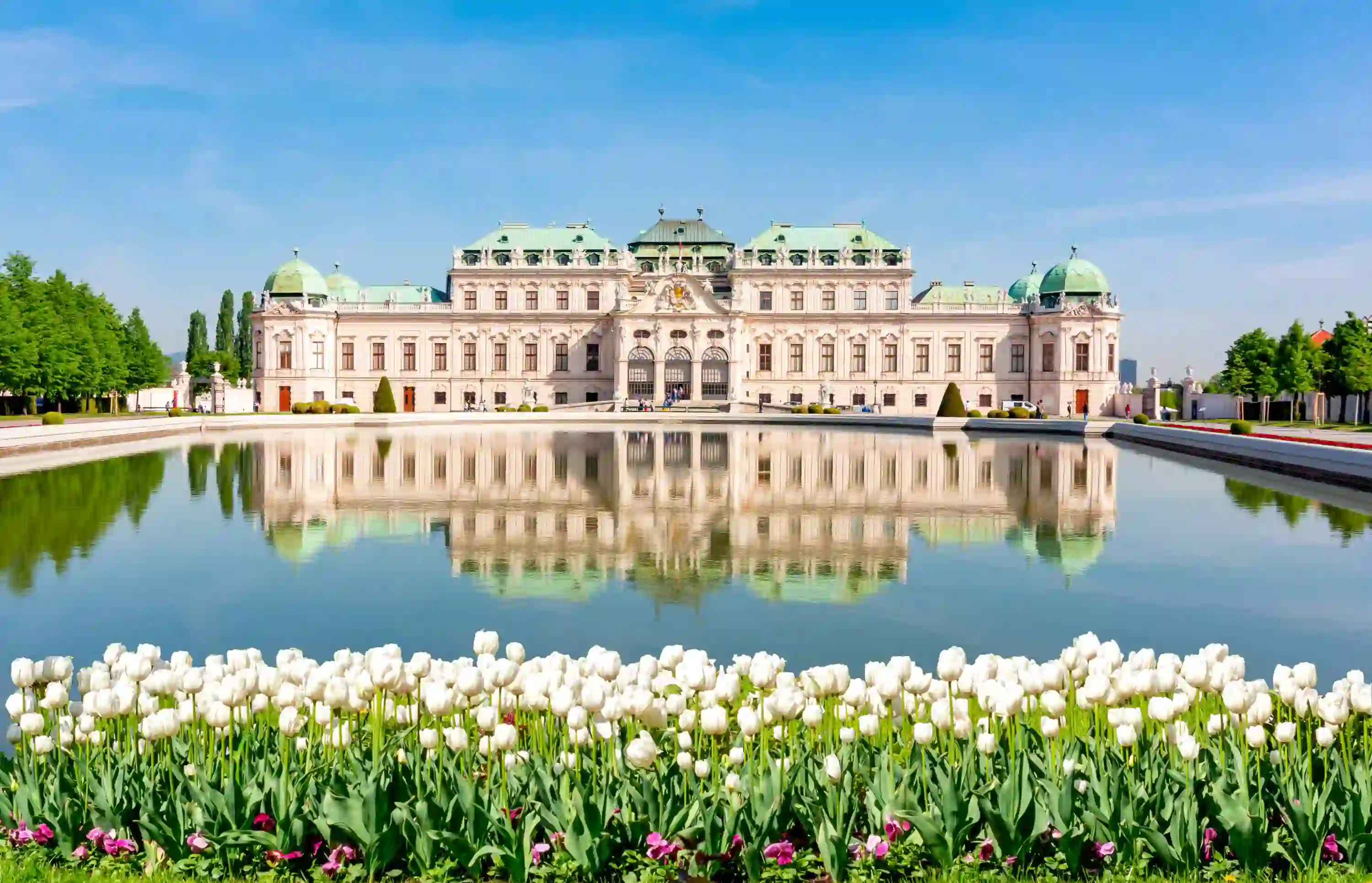 View of Belvedere Palace, a wide, white building with a pale green roof and turrets left and right far ends. In front is a large, walled body of water with the palace's reflection in it. At the forefront of the image is a strip of white tulips, all under a blue, clear sky.