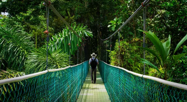 Monteverde Cloud Forest 