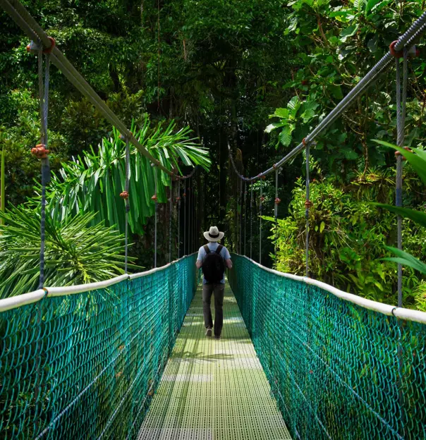 Monteverde Cloud Forest 