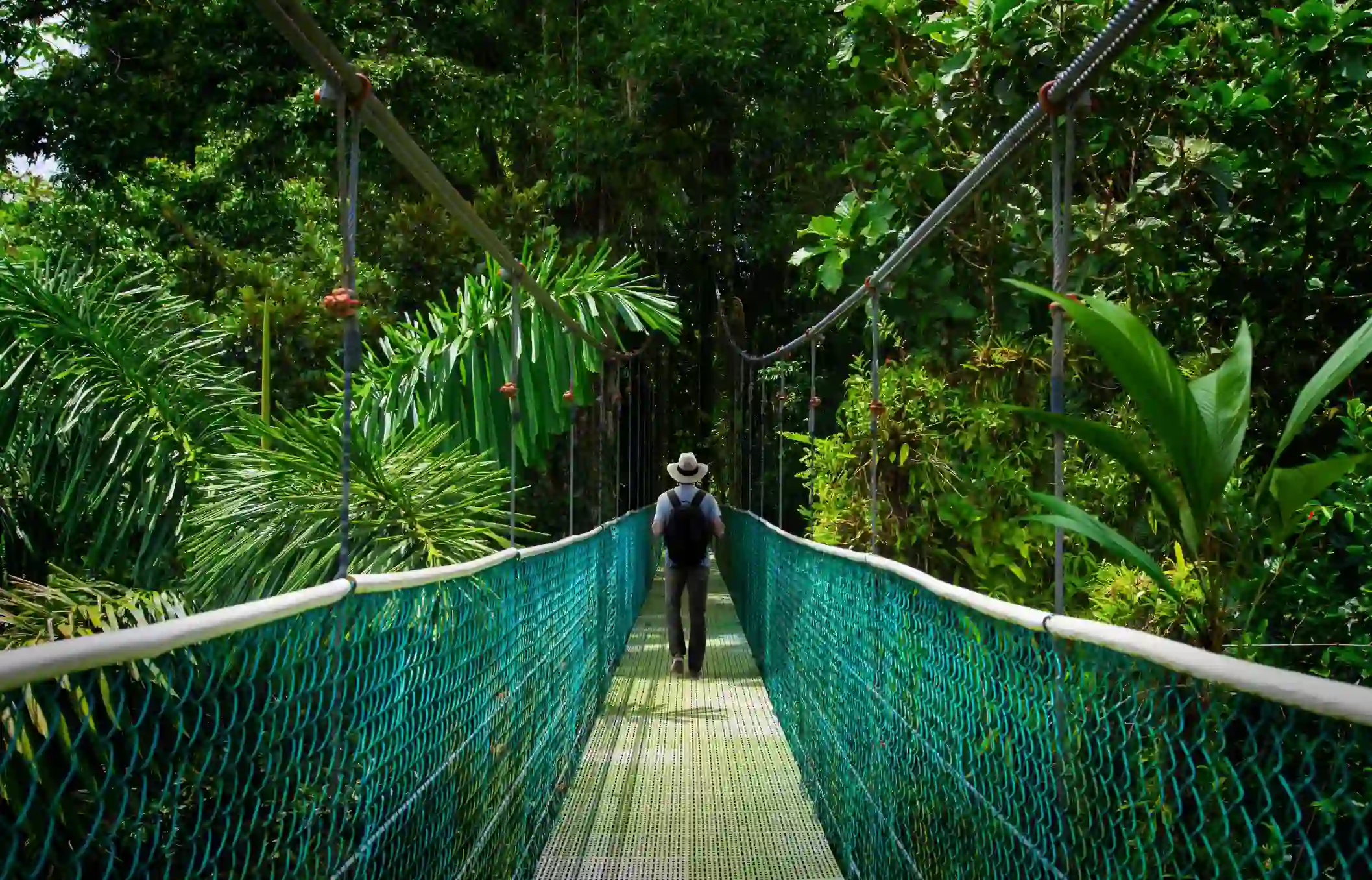 Monteverde Cloud Forest 