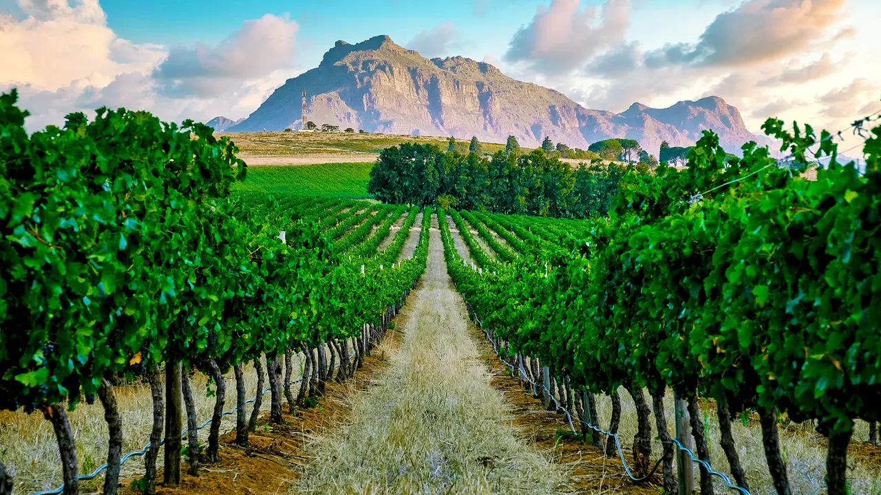 Stellenbosch, South Africa