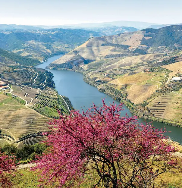 Douro Valley (1)