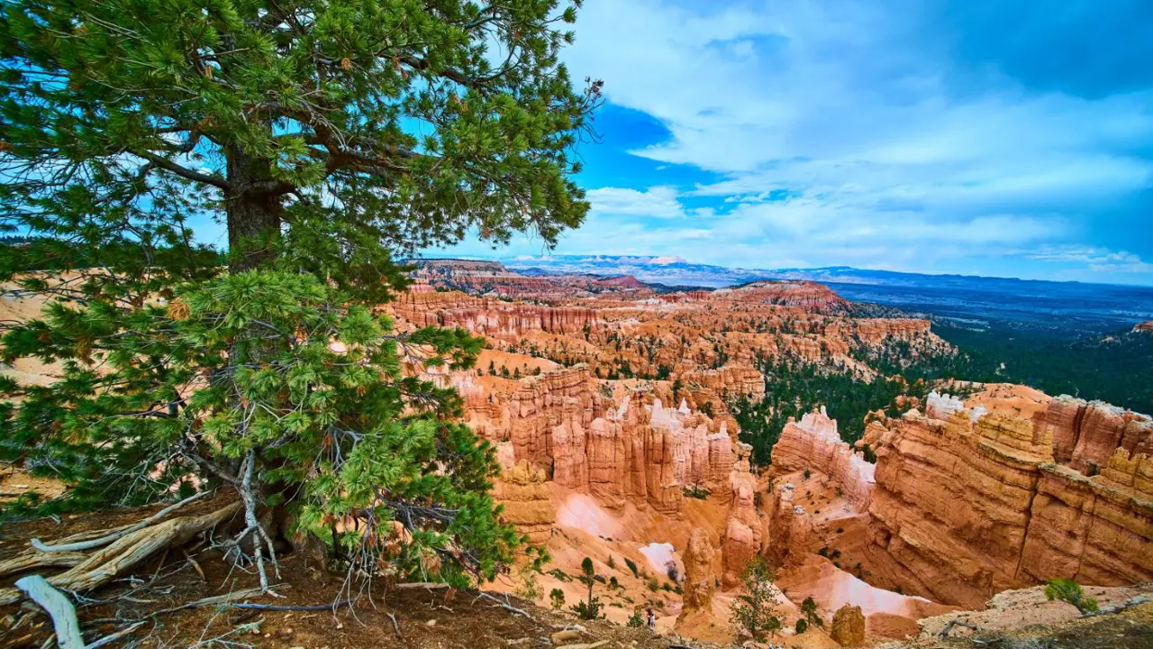 Hoodoos, Sunrise Point, Bryce Canyon National Park